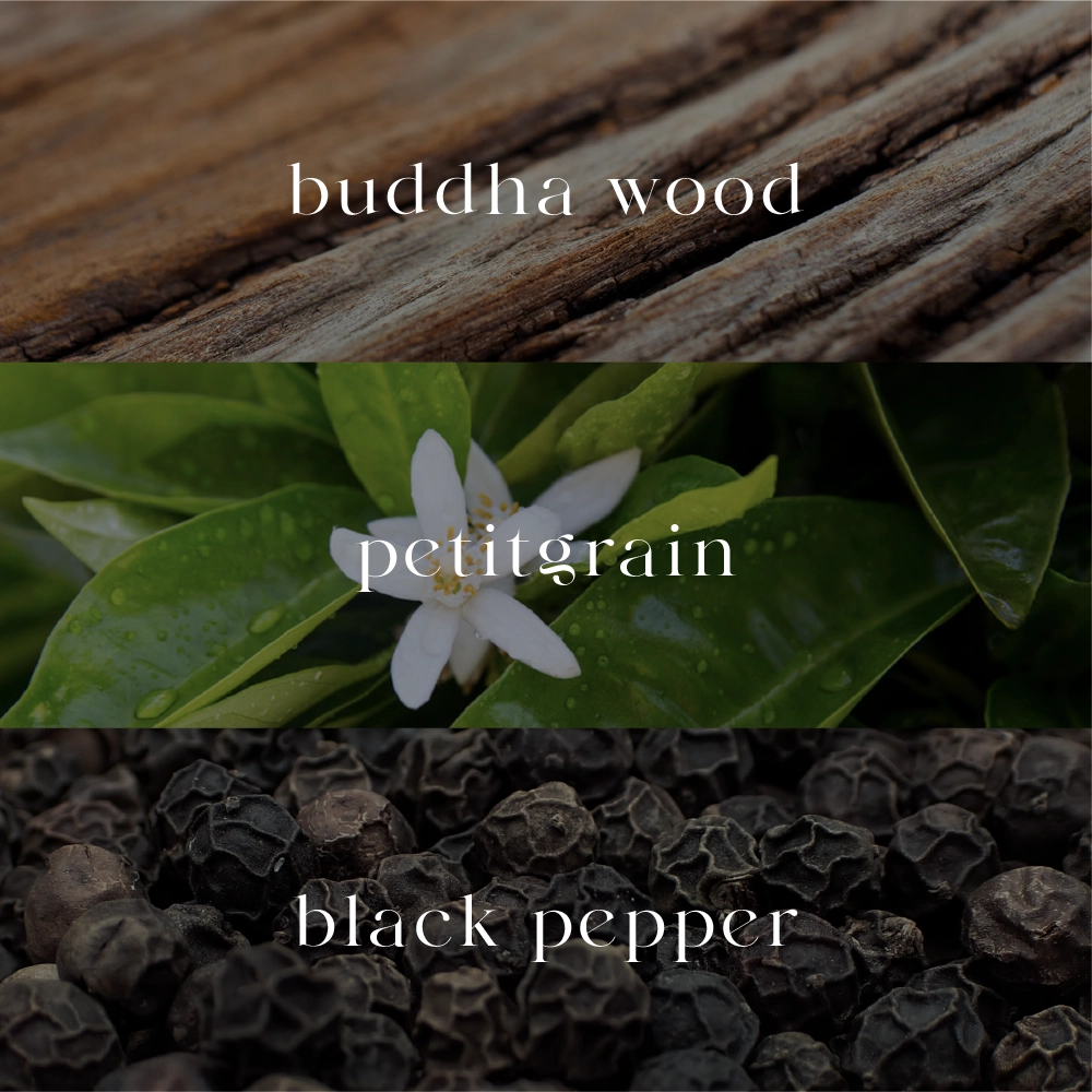 Forra | Car Reed Diffuser