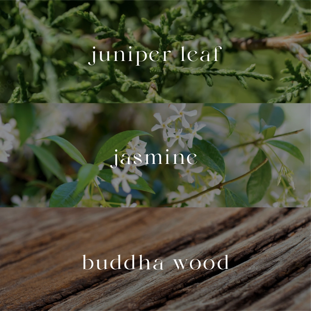 Petale | Reed Diffuser | 200ml