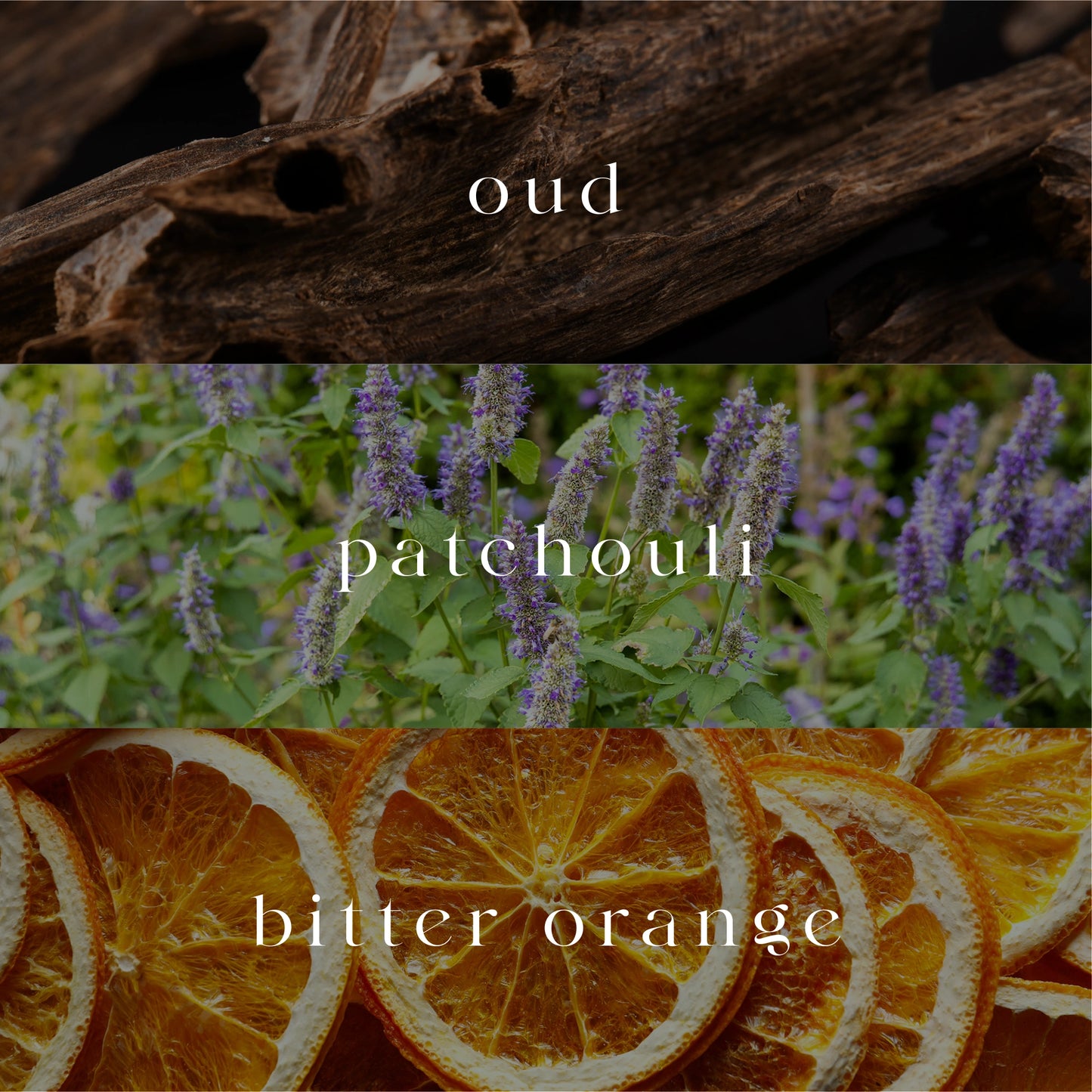 Velour | Reed Diffuser | 200ml