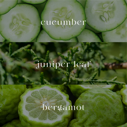 Verde | Aroma Oil Blend