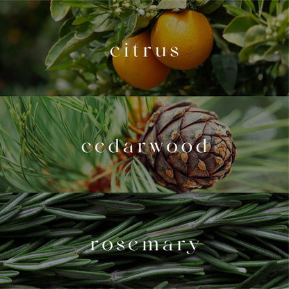 Citrana | Car Fragrance Diffuser | Signature Collection